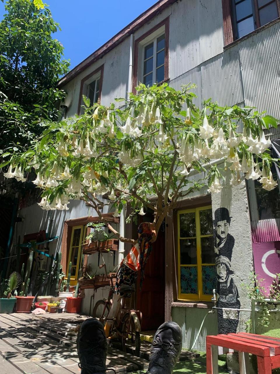 Art Hostel Casa Chaman Valparaíso Dış mekan fotoğraf